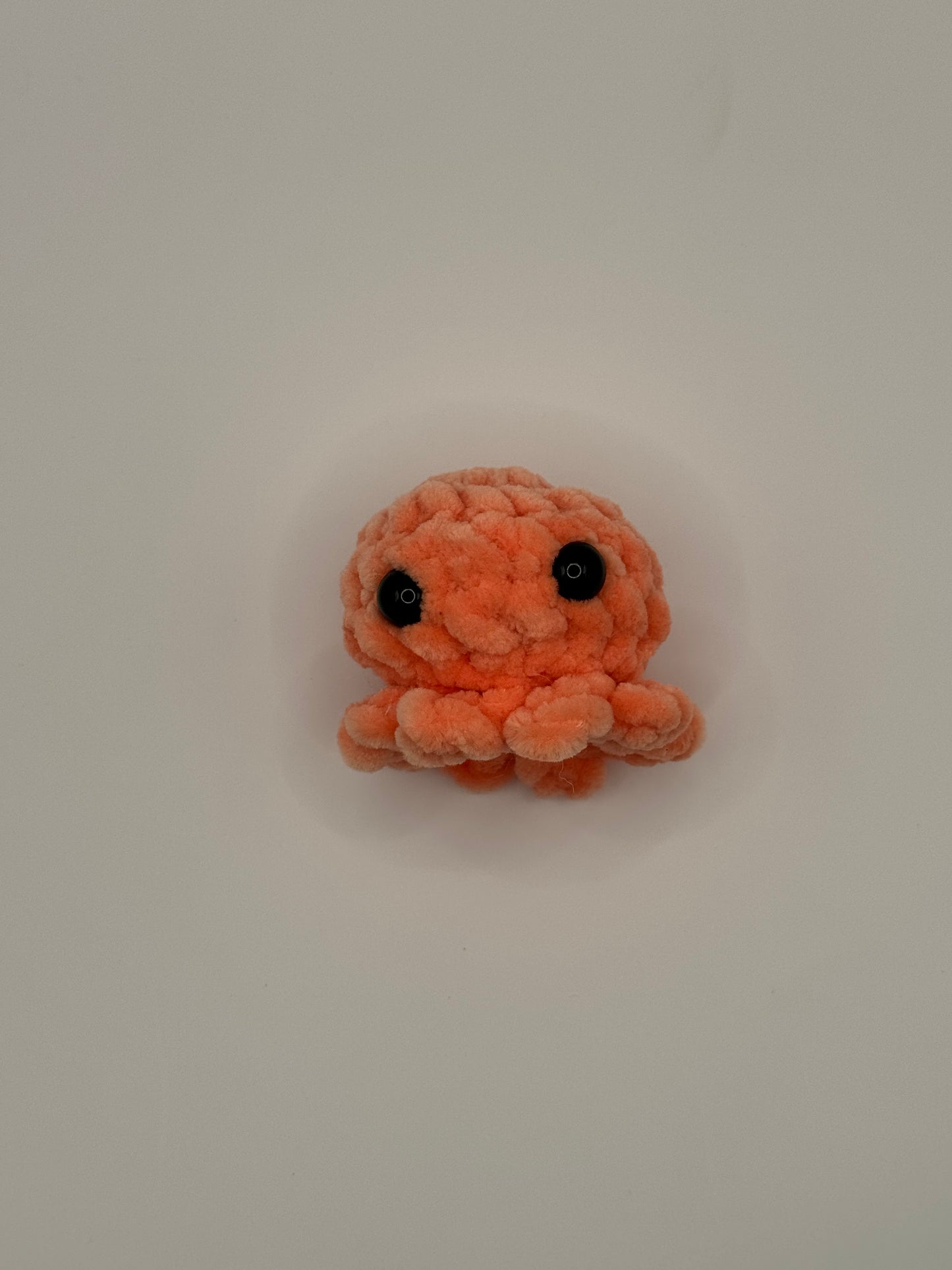 Pocket Octopus